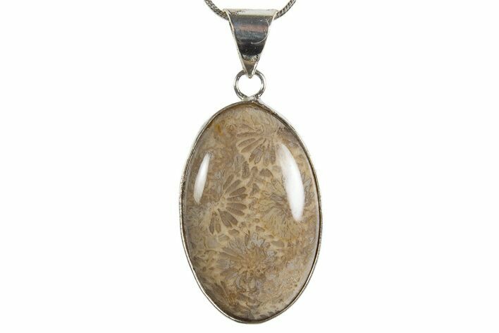 Polished Indonesian Fossil Coral Pendant (Necklace) #345306